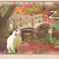 Zen Bun Tea